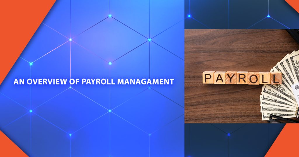 An Overview of Payroll Management System