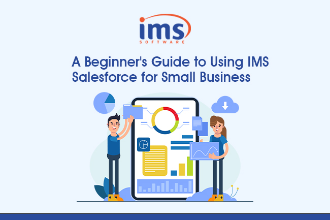 A Beginner’s Guide to Using IMS Salesforce for Small Business