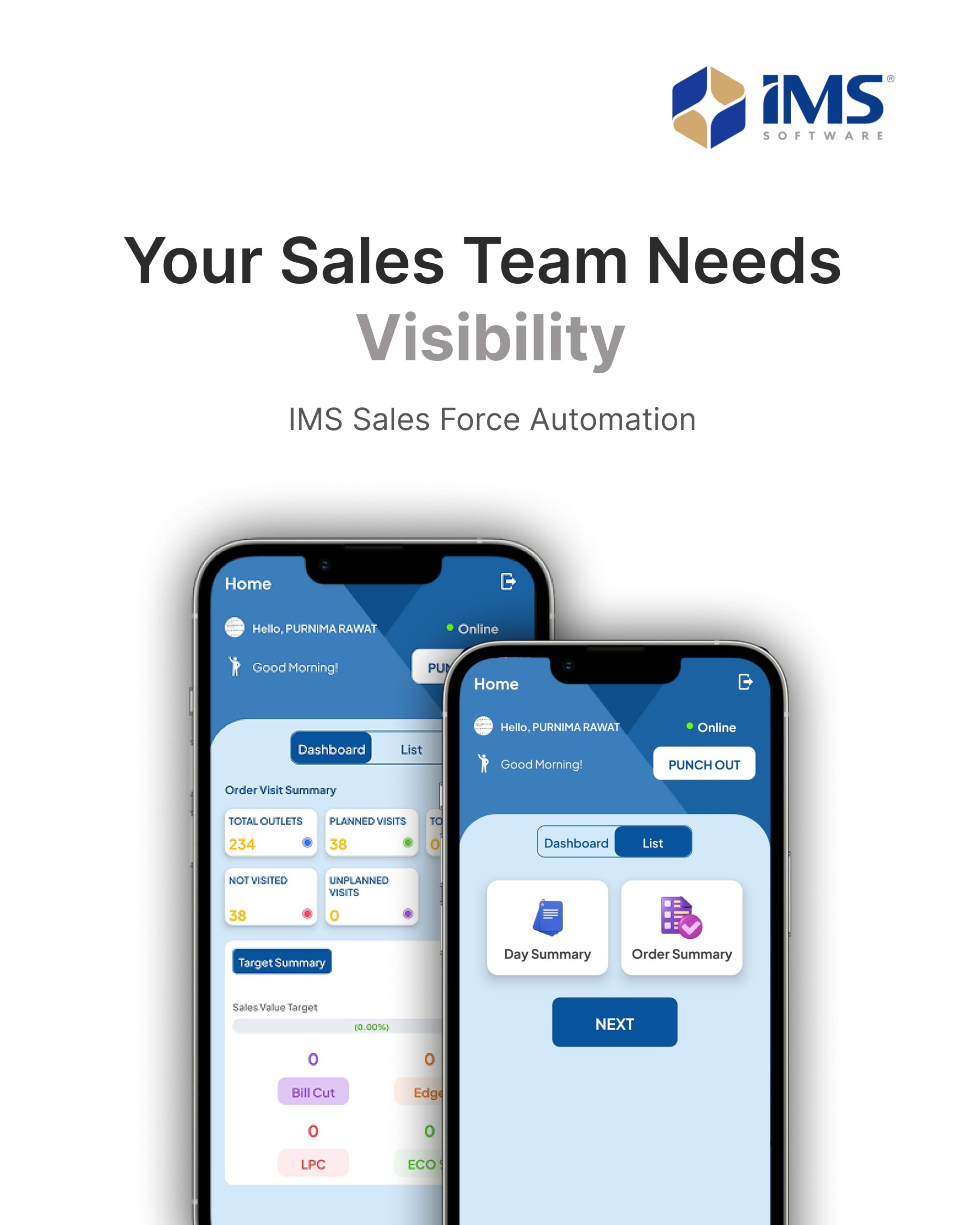A Beginner’s Guide to Using IMS Salesforce for Small Business